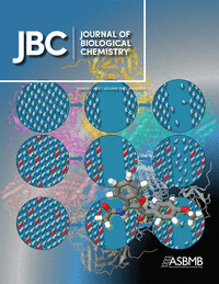 Cover of The Journal of Biological Chemistry, featuring study using the protocol.