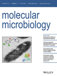 Cover of Molecular Microbiology, featuring study using the protocol.