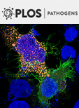 Cover of PLOS Pathogens, featuring study using the protocol.