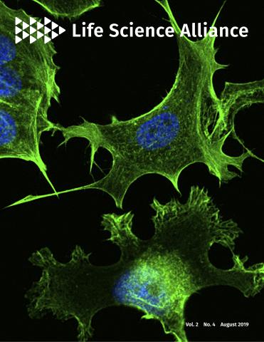 Cover of Life Science Alliance, featuring study using the protocol.