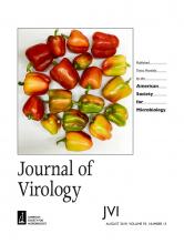 Cover of Journal of Virology, featuring study using the protocol.