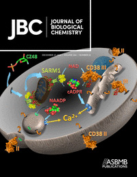 Cover of The Journal of Biological Chemistry, featuring study using the protocol.