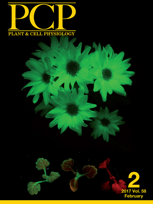 Cover of Plant & Cell Physiology, featuring study using the protocol.