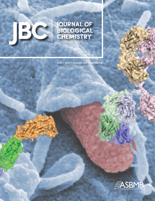 Cover of The Journal of Biological Chemistry, featuring study using the protocol.