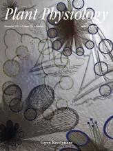 Cover of Plant Physiology, featuring study using the protocol.
