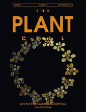 Cover of The Plant Cell, featuring study using the protocol.