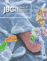 Cover of The Journal of Biological Chemistry, featuring study using the protocol.