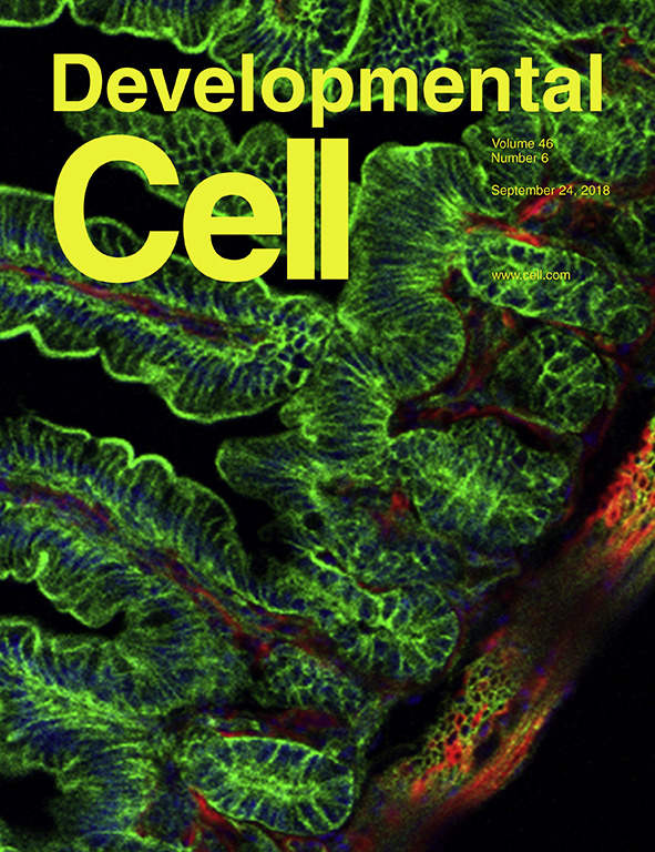 Cover of Developmental Cell, featuring study using the protocol.