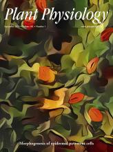 Cover of Plant Physiology, featuring study using the protocol.
