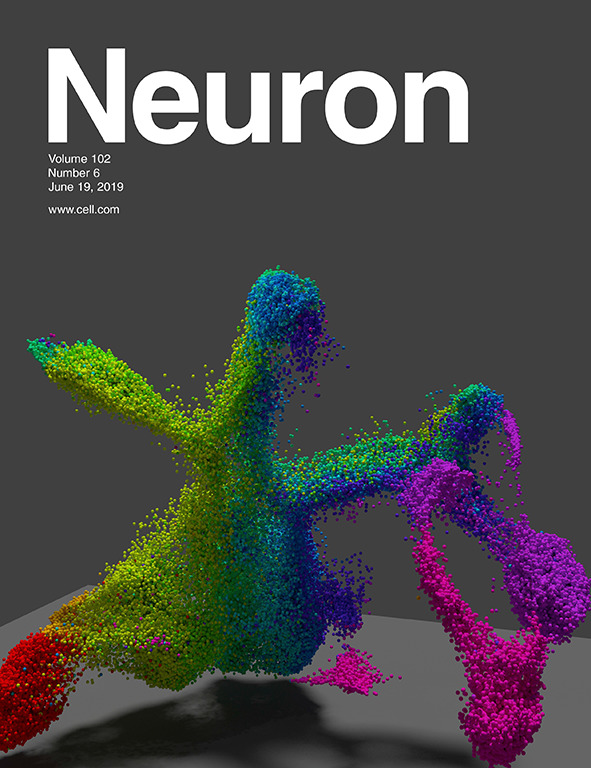Cover of Neuron, featuring study using the protocol.