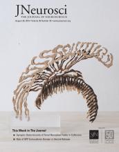 Cover of The Journal of Neuroscience, featuring study using the protocol.