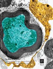 Cover of The Journal of Neuroscience, featuring study using the protocol.