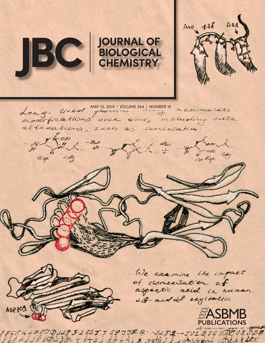 Cover of The Journal of Biological Chemistry, featuring study using the protocol.