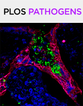 Cover of PLOS Pathogens, featuring study using the protocol.