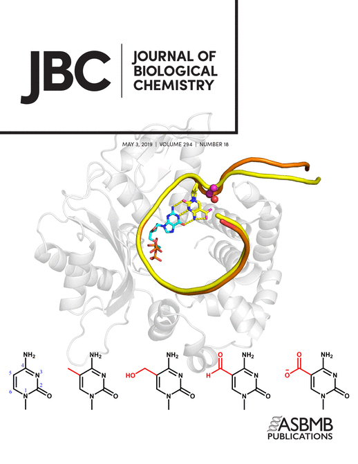 Cover of The Journal of Biological Chemistry, featuring study using the protocol.