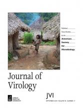 Cover of Journal of Virology, featuring study using the protocol.