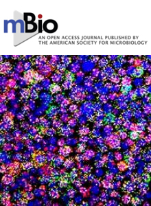 Cover of mBio, featuring study using the protocol.