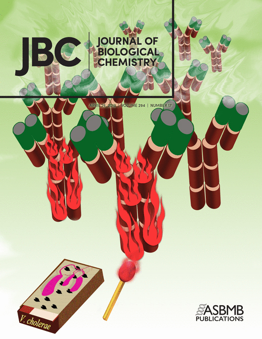 Cover of The Journal of Biological Chemistry, featuring study using the protocol.