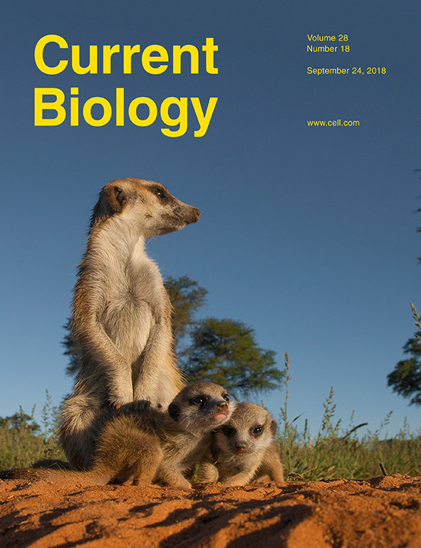 Cover of Current Biology, featuring study using the protocol.