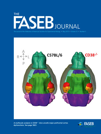 Cover of The FASEB Journal, featuring study using the protocol.