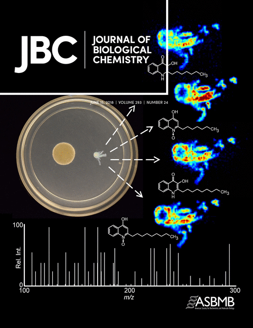 Cover of The Journal of Biological Chemistry, featuring study using the protocol.