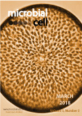Cover of Microbial Cell, featuring study using the protocol.