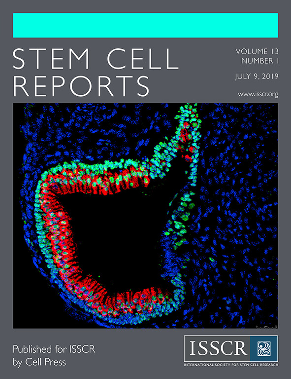 Cover of Stem Cell Reports, featuring study using the protocol.
