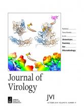 Cover of Journal of Virology, featuring study using the protocol.