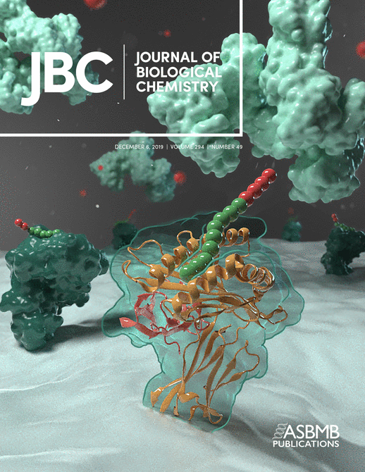 Cover of The Journal of Biological Chemistry, featuring study using the protocol.