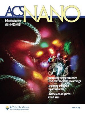 Cover of ACS Nano, featuring study using the protocol.