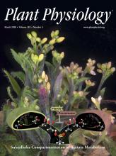 Cover of Plant Physiology, featuring study using the protocol.