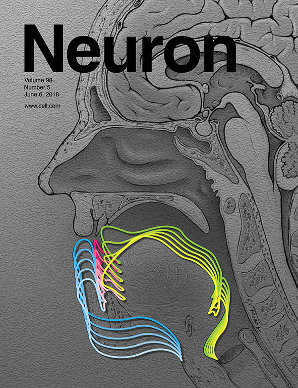 Cover of Neuron, featuring study using the protocol.