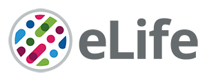 Cover of eLIFE, featuring study using the protocol.