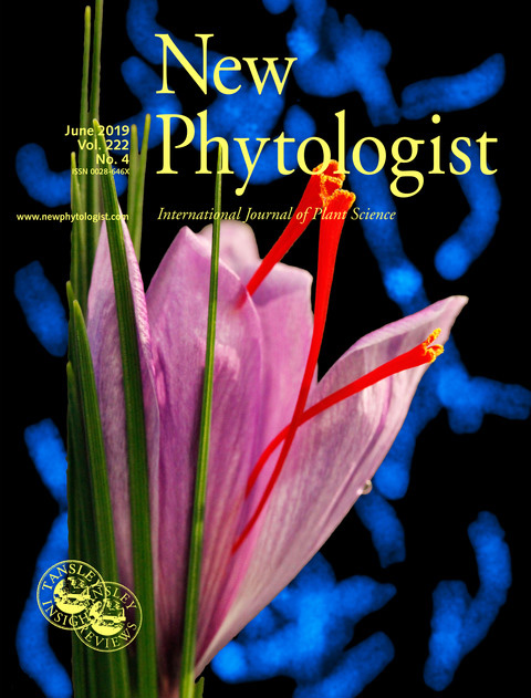 Cover of New Phytologist, featuring study using the protocol.