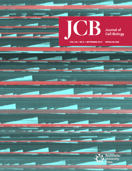 Cover of The Journal of Cell Biology, featuring study using the protocol.