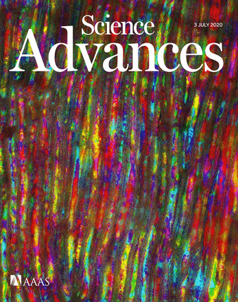 Cover of Science Advances, featuring study using the protocol.