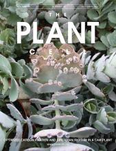 Cover of The Plant Cell, featuring study using the protocol.