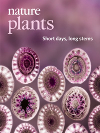 Cover of Nature Plants, featuring study using the protocol.