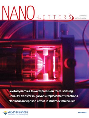 Cover of Nano Letters, featuring study using the protocol.