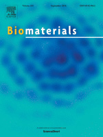 Cover of Biomaterials, featuring study using the protocol.