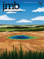 Cover of Journal of Molecular Biology, featuring study using the protocol.