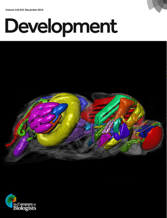 Cover of Development, featuring study using the protocol.