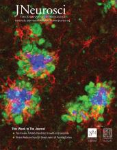 Cover of The Journal of Neuroscience, featuring study using the protocol.