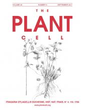 Cover of The Plant Cell, featuring study using the protocol.