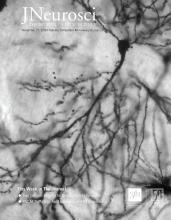 Cover of The Journal of Neuroscience, featuring study using the protocol.