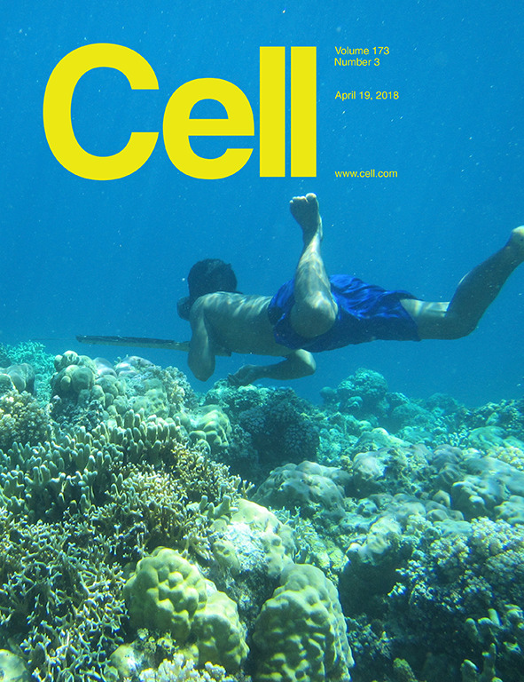 Cover of Cell, featuring study using the protocol.
