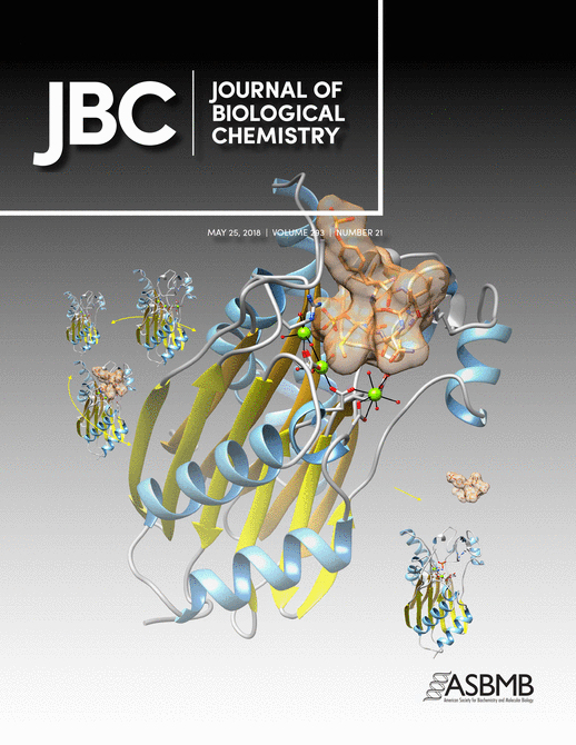 Cover of The Journal of Biological Chemistry, featuring study using the protocol.