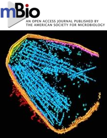 Cover of mBio, featuring study using the protocol.