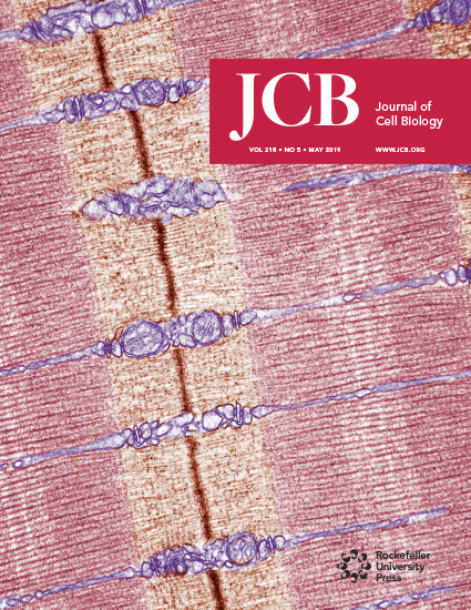 Cover of The Journal of Cell Biology, featuring study using the protocol.