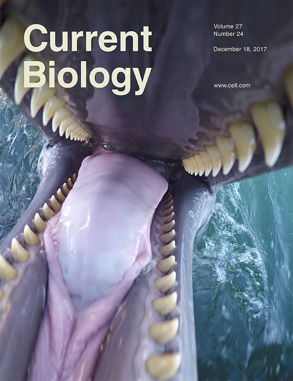Cover of Current Biology, featuring study using the protocol.